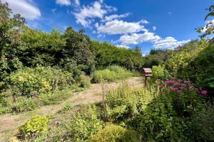 Photo 1- click for photo gallery